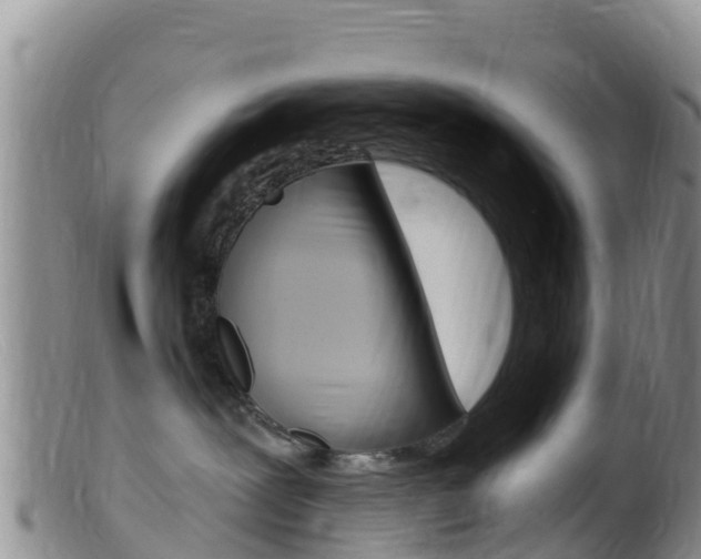 X0000099540239200805160756