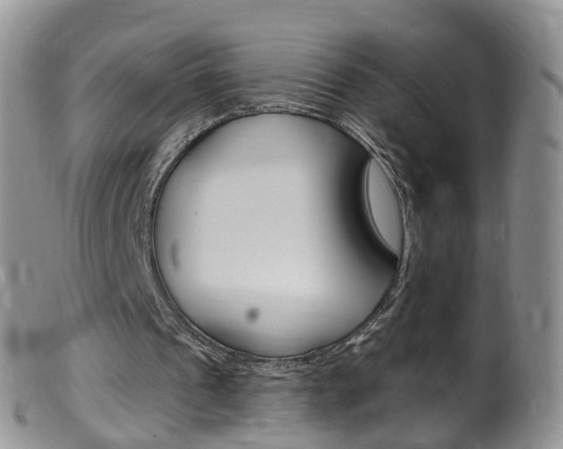 X0000099540241200805160755