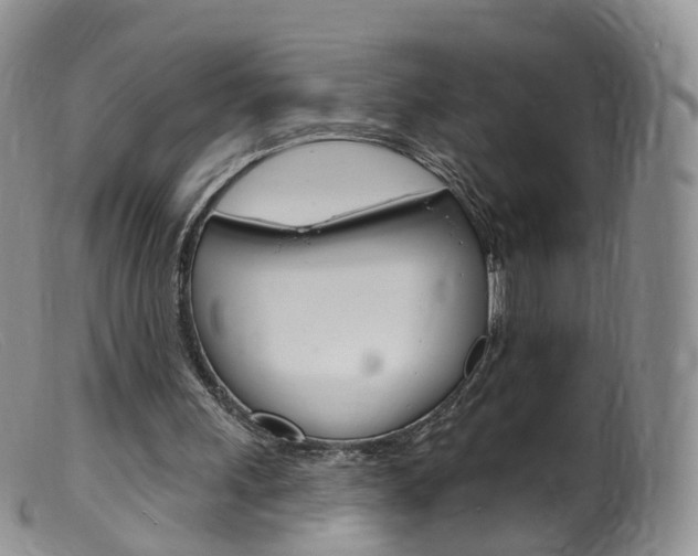 X0000099540243200805160755