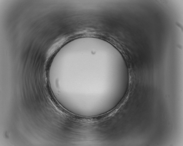 X0000099540245200805160755