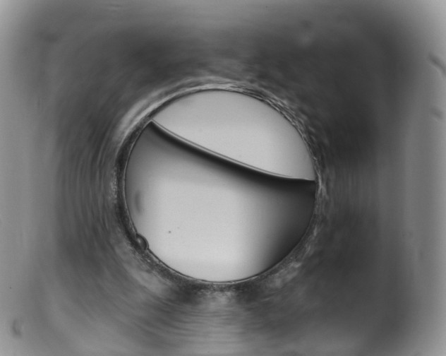 X0000099540247200805160755