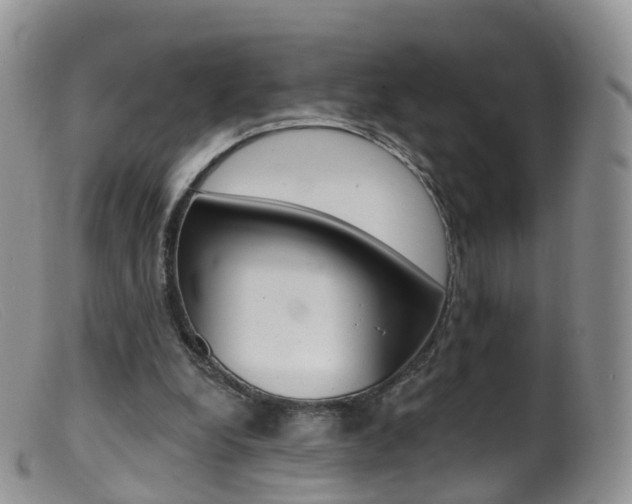 X0000099540248200805160755