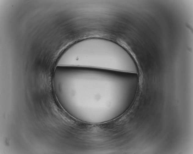 X0000099540249200805160755
