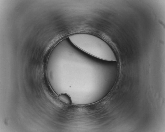 X0000099540250200805160755