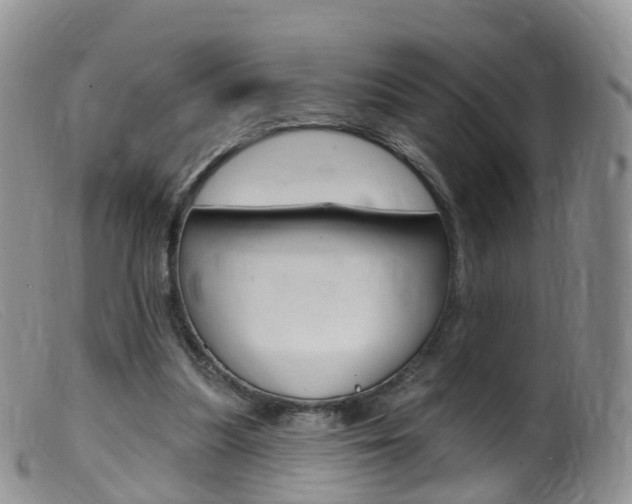 X0000099540251200805160755