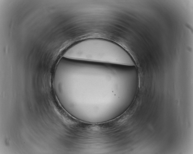 X0000099540253200805160756