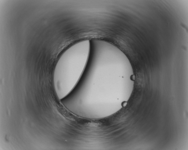 X0000099540255200805160756