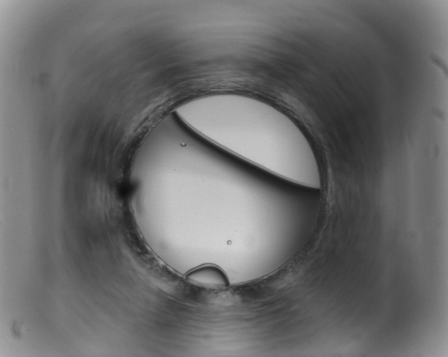 X0000099540258200805160756