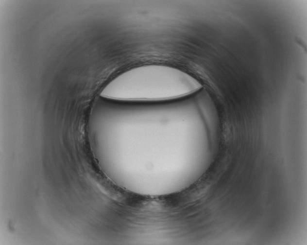 X0000099540259200805160756