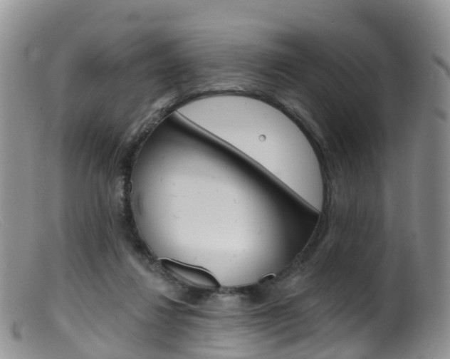 X0000099540260200805160756