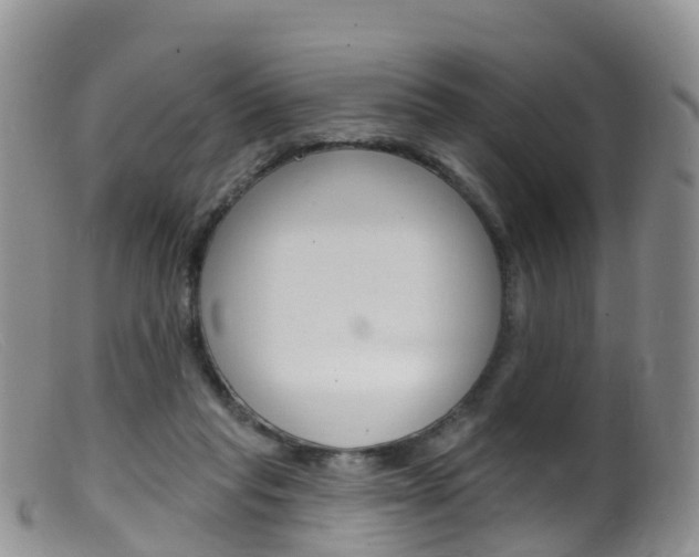 X0000099540261200805160756