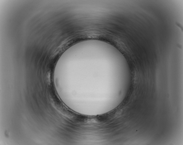 X0000099540262200805160756