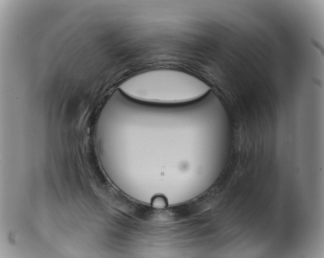 X0000099540263200805160756