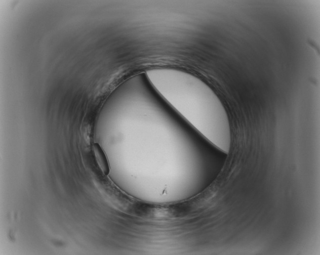 X0000099540264200805160756
