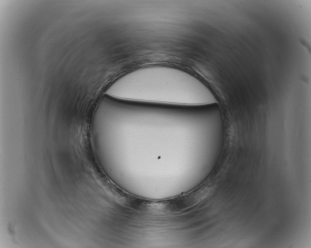 X0000099540265200805160756