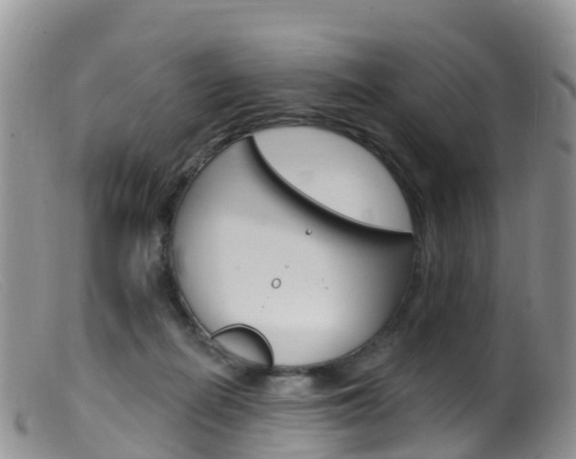 X0000099540266200805160756