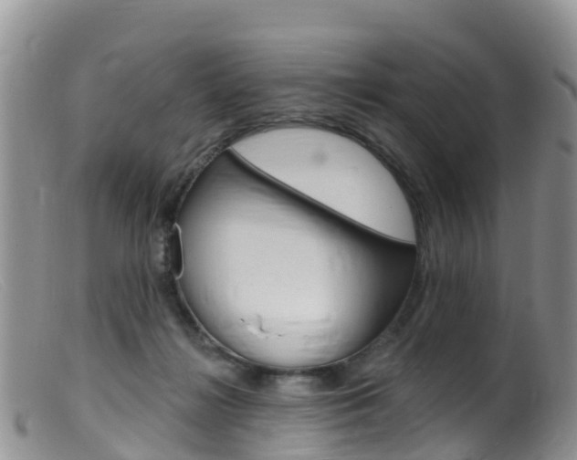 X0000099540268200805160756