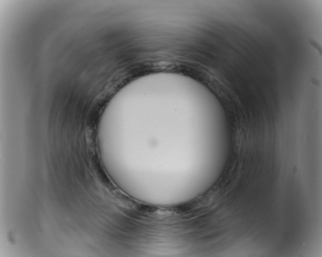 X0000099540270200805160756