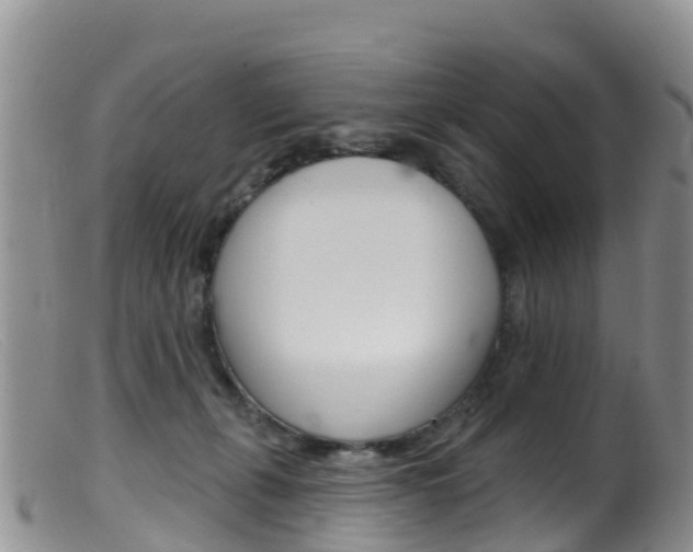 X0000099540271200805160756