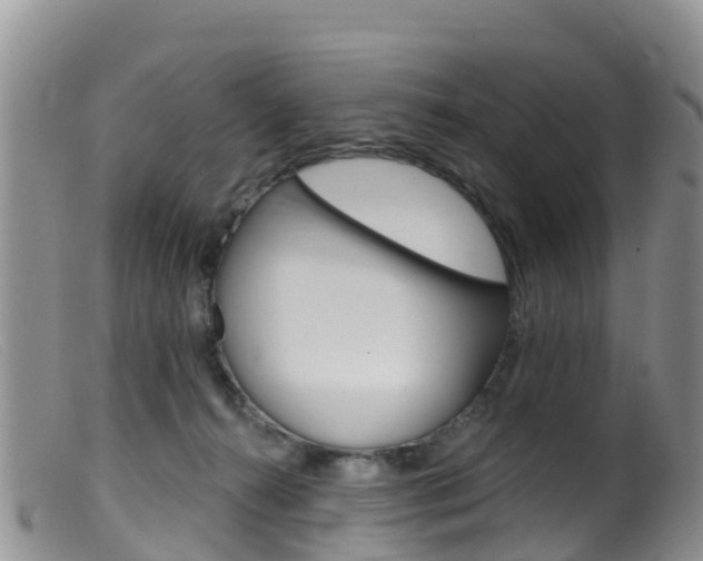 X0000099540272200805160756