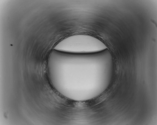 X0000099540273200805160756