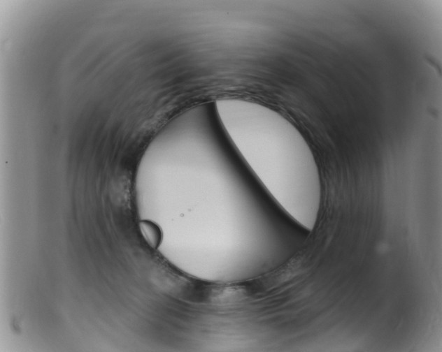 X0000099540274200805160756