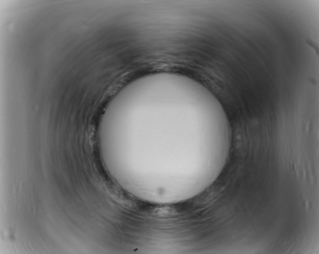 X0000099540275200805160756