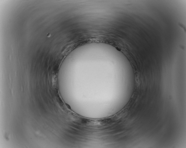 X0000099540276200805160756