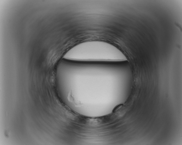 X0000099540277200805160756