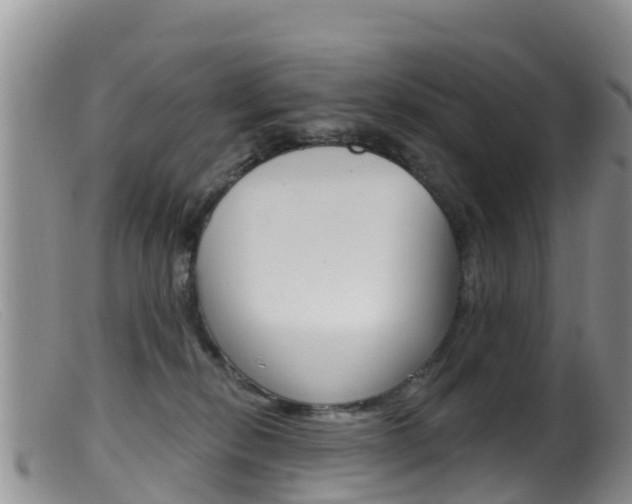 X0000099540278200805160756