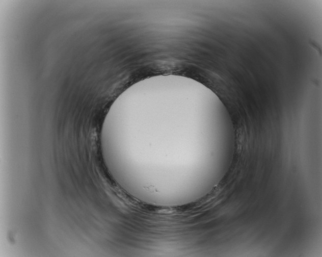 X0000099540279200805160756
