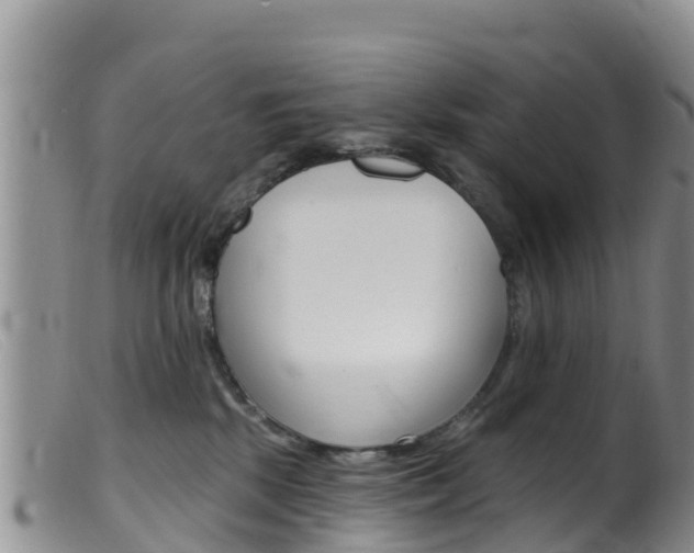 X0000099540281200805160756