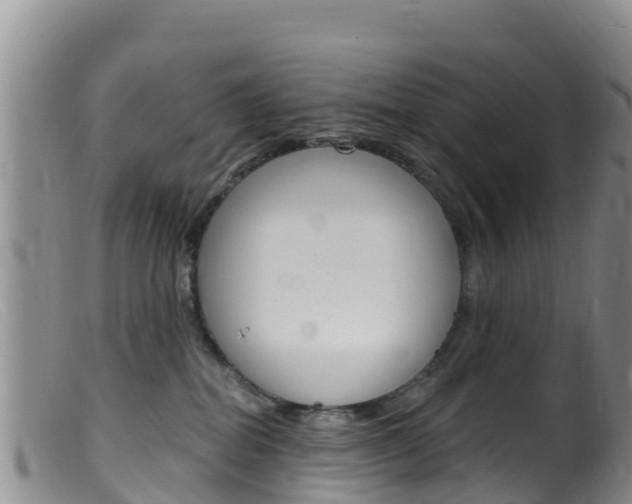 X0000099540282200805160756