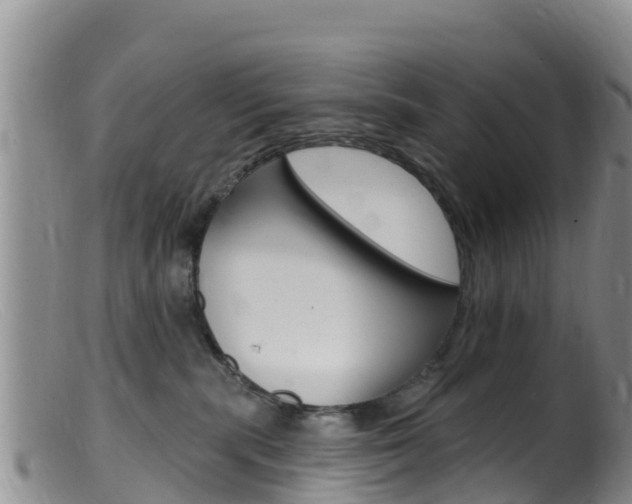X0000099540283200805160756