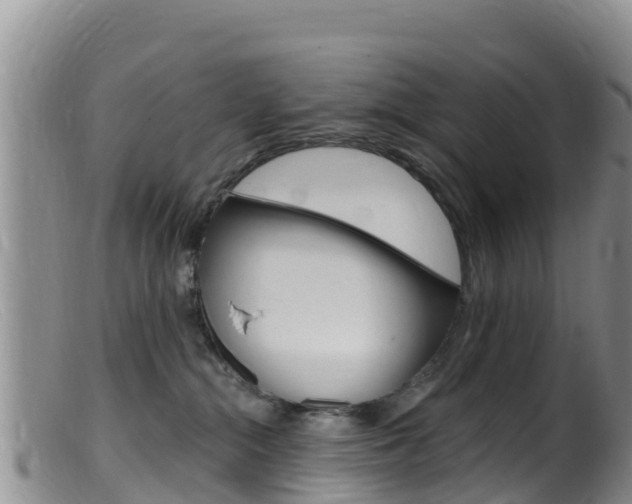 X0000099540284200805160756