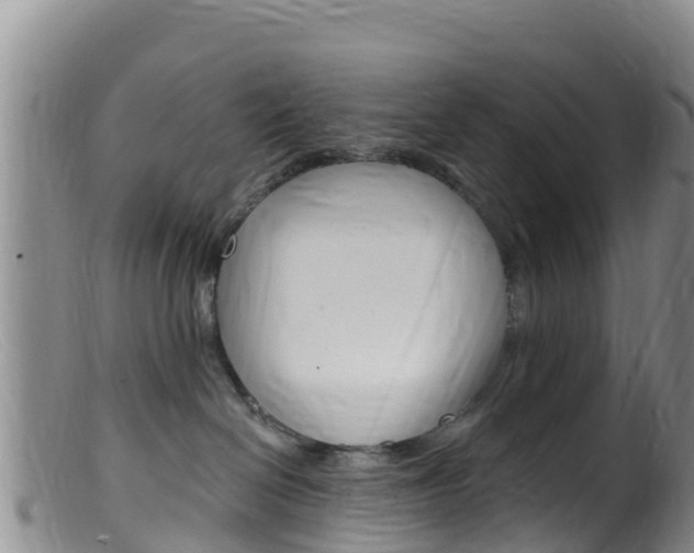 X0000099540286200805160756