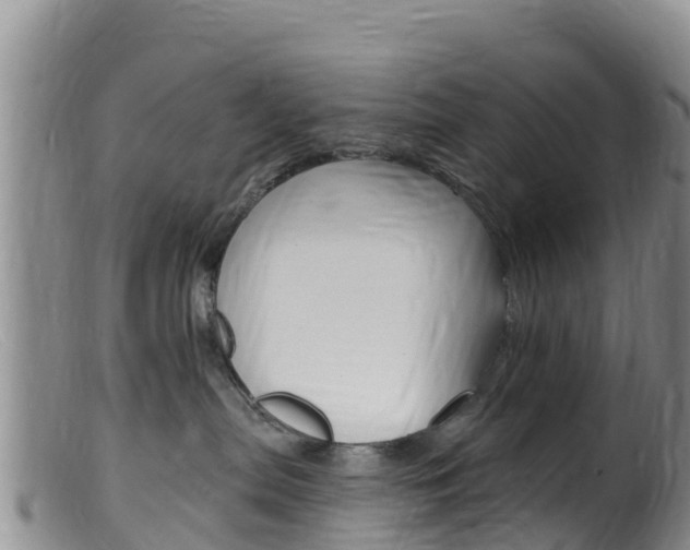 X0000099540287200805160756