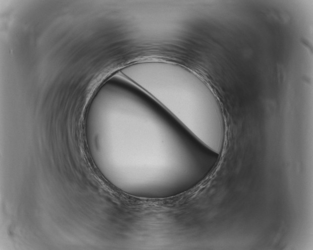 X0000099540289200805160755