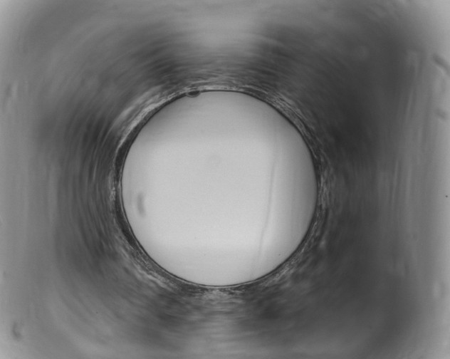 X0000099540290200805160755
