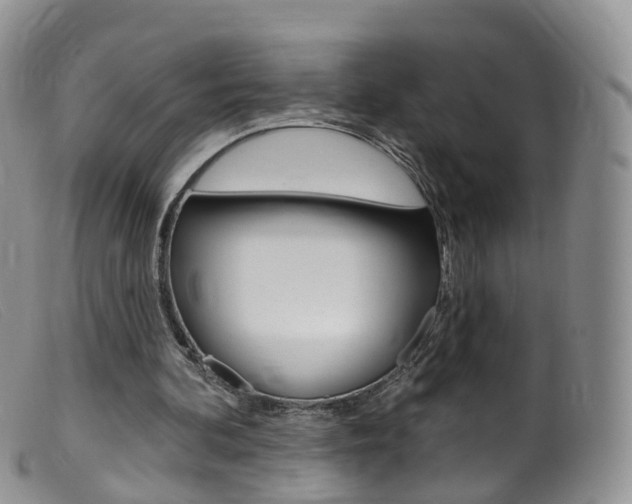 X0000099540292200805160755