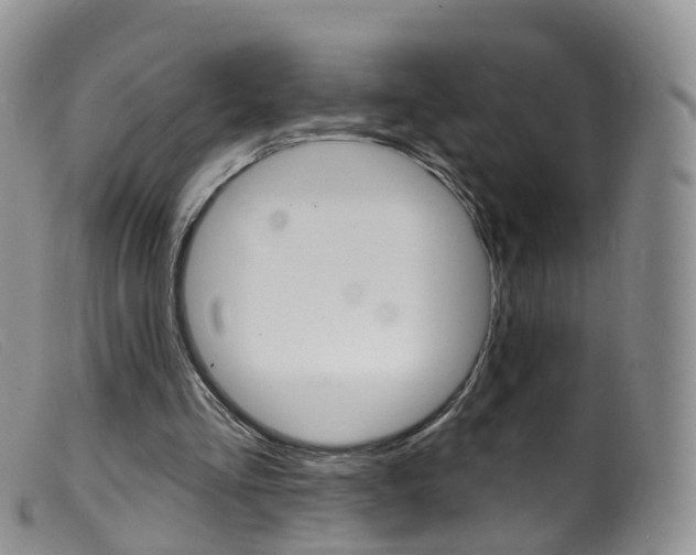 X0000099540293200805160755
