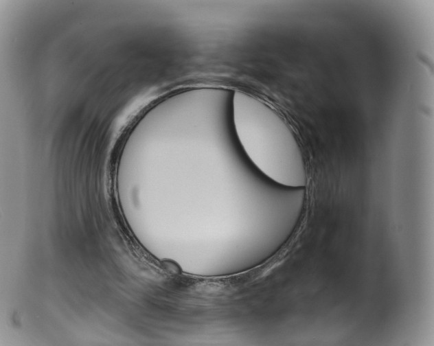 X0000099540294200805160755