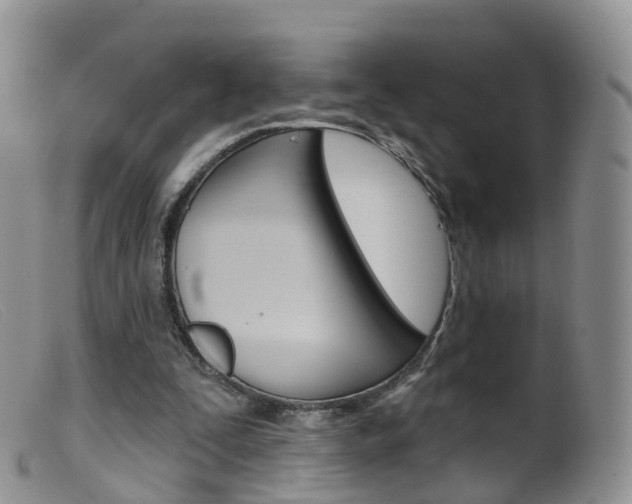X0000099540295200805160755