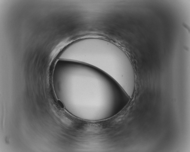 X0000099540296200805160755
