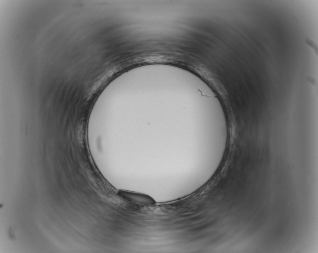 X0000099540297200805160755