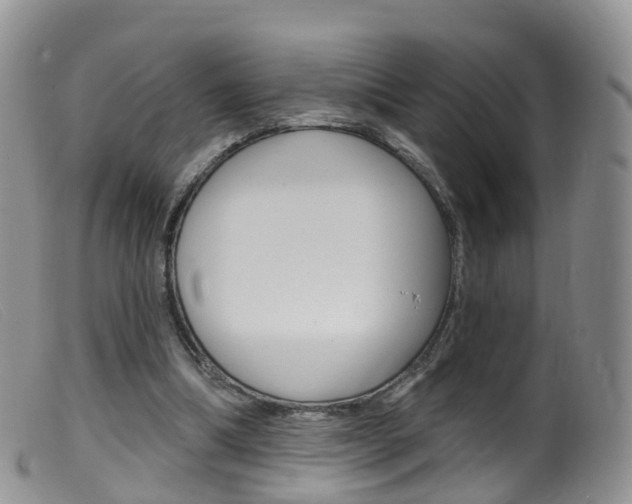 X0000099540298200805160755