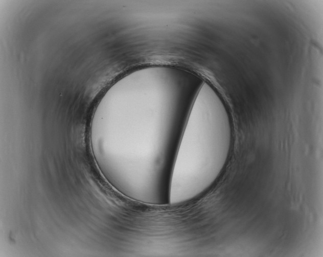 X0000099540299200805160755