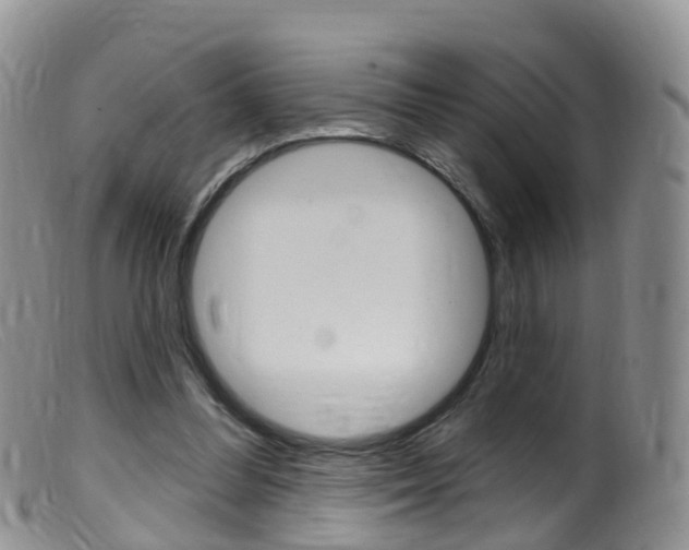 X0000099540300200805160755