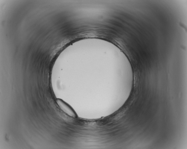 X0000099540301200805160755