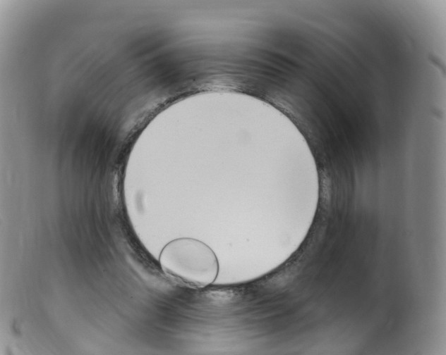 X0000099540302200805160755